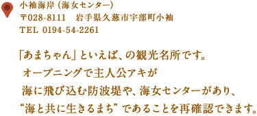 〒028-8111　岩手県久慈市宇部町小袖
TEL 0194-54-2261
「あまちゃん」といえば、の観光名所です。
オープニングで主人公アキが海に飛び込む防波堤や、海女センターがあり、
“海と共に生きるまち”であることを再確認できます。