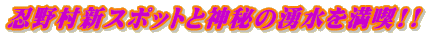 E쑺VX|bgƐ_̗N𖞋i!!