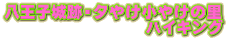 qՁE[₯₯̗ @@@@@@@@@nCLO