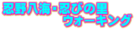 E씪CEEт̗ @@@@@EH[LO