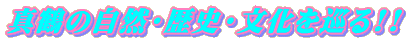 ^߂̎REjE!!